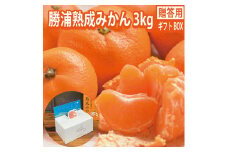 谷内青果 贈答用 熟成みかん 秀品 S-Mサイズ 3kg