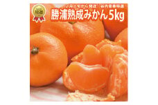 谷内青果 特選 熟成みかん S-Lサイズ 5kg