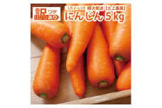 大上農園 訳あり にんじん 5kg