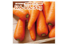 大上農園 にんじん 5kg