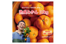 あおとくる 蔵出し熟成みかん 10kg 80玉前後 サイズ混合