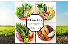 旬のエシカル野菜セット