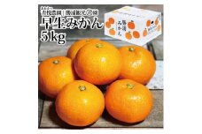 青悦農園 勝浦早生みかん S-LLサイズ 秀品 5kg