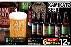 ＜寄附額改定しました＞ KAMIKATZBEER ブリュワーズセレクト 12本セット RISE＆WIN 《30日以内に出荷予定(土日祝除く)》 ｜ クラフトビール ビール お中元 上勝ビール カミカツビール 酒 お酒 6種飲み比べ プレゼント ギフト 記念日 パーティー 株式会社スペック 徳島県 上勝町 送料無料 st-p