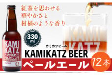 KAMIKATZ PALE ALE 12本 RISE＆WIN 《30日以内に出荷予定(土日祝除く)》 ｜ クラフトビール ビール 酒 お酒 地ビール KAMIKATZ BEER 上勝ビール カミカツビール プレゼント ギフト 株式会社スペック 徳島県 上勝町 送料無料 st-p