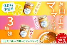 お山の上の マーマレード 3姉妹 3瓶 約250g NARUMIFARM 《30日以内に出荷予定(土日祝除く)》｜ ジャム マーマレード 保存料不使用 オーガニック 有機 柑橘 柚香 柚子 すだち ご当地 ご当地ジャム パン ヨーグルト 肉 徳島県 上勝町 送料無料
