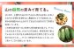 ビニールハウスも潅水設備も、リサイクルのパイプや資材を活用し、上勝町のゼロ・ウェイ ストに沿った農業を行っています。