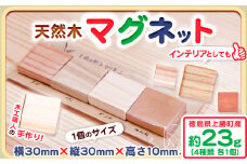 天然木マグネット 約23g 4種類 各1個 W30×H30×D10 一般社団法人かみかつ森林環境公社 《30日以内に出荷予定(土日祝除く)》｜ マグネット 木製 ウッドマグネット インテリア キッチン用品 台所 冷蔵庫 磁石 オリジナル プレゼント クラフト 工作 徳島県 上勝町 送料無料 st-p