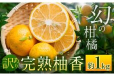 ＜ 予約受付開始 ＞ 訳あり 完熟柚香 ゆこう 約1kg シシトトラ《11月中旬-12月下旬頃出荷》 │ 柑橘 家庭用 柑橘 訳あり 柑橘 徳島県 柑橘 ご当地食材 レア 幻の果実 ぽん酢 加工用 柑橘 完熟 フルーツ 徳島県 上勝町