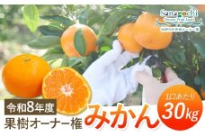 令和8年度果樹オーナー権（みかん）
