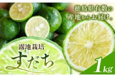 佐那河内名産 露地栽培 すだち 1kg 露地すだち スダチ 一般財団法人さなごうち《8月下旬-11月上旬頃出荷》徳島県 佐那河内村 送料無料 スダチ 露地 魚 豆腐 冷奴 焼き魚 天ぷら 刺身 上質 徳島県産
