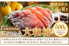 佐那河内村産 こだわりの大和柿 500g(真空パック) 山本清 《30日以内に出荷予定(土日祝除く)》│ 干し柿 干柿 柿 かき カキ フルーツ 果物 くだもの 農家直送 家庭用 秋の味覚 旬 徳島県 佐那河内村