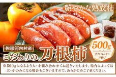 佐那河内村産 こだわりの刀根柿 500g (真空パック) 山本清 《30日以内に出荷予定(土日祝除く)》│ 干し柿 干柿 柿 かき カキ フルーツ 果物 くだもの 農家直送 家庭用 秋の味覚 旬 徳島県 佐那河内村