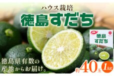 佐那河内名産 ハウス栽培 すだち 40玉 (1kg) ハウスすだち スダチ 一般財団法人さなごうち《6月中旬-9月上旬頃出荷》徳島県 佐那河内村 送料無料 スダチ ハウス 魚 豆腐 冷奴 焼き魚 天ぷら 刺身 徳島県産