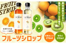 フルーツシロップ 天草オレンジ・キウイ セット 270ml×2本 KAWAZOE FRUIT《90日以内に出荷予定(土日祝除く)》シロップ フルーツソース かき氷 調味料 炭酸水 食品 贈り物 プレゼント 内祝 出産祝い 出産内祝い 誕生日 徳島県 佐那河内村