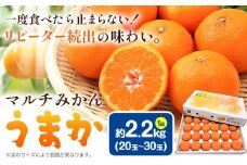 丹精込めて育てました！マルチみかん「うまか」 1箱 2.2kg 《11月中旬-12月末頃に出荷予定(土日祝除く)》 広畠農園 【配送不可地域あり】(離島) みかん ミカン 蜜柑 早生 柑橘 佐那河内 徳島県 箱入り 化粧箱 S M L フルーツ 果物 くだもの 贈答 進物