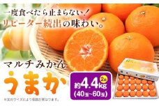 丹精込めて育てました！マルチみかん「うまか」 2箱 4.4kg 《11月中旬-12月末頃に出荷予定(土日祝除く)》 広畠農園 【配送不可地域あり】(離島) みかん ミカン 蜜柑 早生 柑橘 佐那河内 徳島県 箱入り 化粧箱 S M L フルーツ 果物 くだもの 贈答 進物