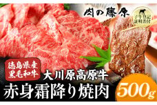 大川原高原牛 赤身・霜降り焼肉用 500g 株式会社肉の藤原《30日以内に出荷予定(土日祝除く)》徳島県 佐那河内村 和牛 希少 佐那河内 さなごうち 大川原高原 牛肉 焼肉  赤身  贅沢 あっさり バーベキュー BBQ 弁当 冷凍 ギフト 贈答
