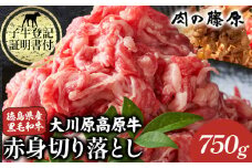 大川原高原牛 赤身切り落とし 750g 肉の藤原《30日以内に出荷予定(土日祝除く)》和牛 希少 大川原高原 牛肉 赤身 もも肉 贅沢 あっさり 炒め物 煮物 肉じゃが すき焼き 牛丼 弁当 レシピ 手軽 冷凍 ギフト 贈答
