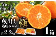 ＜先行予約＞ 蔵出し熟成みかん『極』 1箱 《2月中旬-2月末頃出荷予定》みかん ミカン 蜜柑 mikan 貯蔵 温州 うんしゅう 晩成 柑橘 佐那河内 さなごうち 徳島県 箱入り 化粧箱 S M L フルーツ 果物 くだもの 贈答 進物 一般財団法人さなごうち