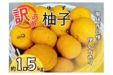 訳あり柚子(約1.5kg）　《11月中旬-12月中旬頃発送》【配送不可地域あり】※離島 
