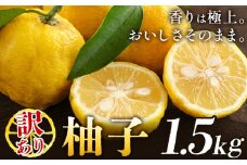 ゆず 訳あり 柚子 約1.5kg 《11月中旬-12月中旬頃発送》徳島県 佐那河内村 ゆず 柑橘 フルーツ 旬【配送不可地域あり】※離島