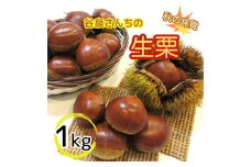 谷泉さんちの生栗1kg【数量限定】《10月中旬-10月末頃発送》