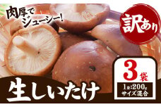 『訳あり』生しいたけ 200g×3袋(サイズ混合) 【配送不可地域あり】※離島 一般財団法人さなごうち 《30日以内に出荷予定(土日祝除く)》│ しいたけ 椎茸 シイタケ 生 大ぶり 食べ応え 厚い しいたけ 訳あり しいたけ 肉厚 しいたけ 醤油 徳島県 佐那河内村