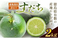 佐那河内名産 訳あり B級 露地栽培 すだち 2kg 露地すだち スダチ 一般財団法人さなごうち《9月中旬-11月上旬頃出荷》徳島県 佐那河内村 送料無料 スダチ 露地 魚 豆腐 冷奴 焼き魚 天ぷら 刺身 徳島県産