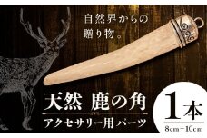 天然・鹿の角アクセサリー用パーツ 【配送不可地域あり】(離島) 一般財団法人さなごうち 《30日以内に出荷予定(土日祝除く)》│ ハンドメイド ハンドメイドパーツ DIY 一点物 天然 徳島県 佐那河内村
