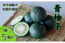 青柚子(5個入)　《8月上旬-8月末頃発送》【配送不可地域あり】※離島 