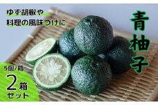 青柚子(5個入×2箱セット)　《8月上旬-8月末頃発送》【配送不可地域あり】※離島 