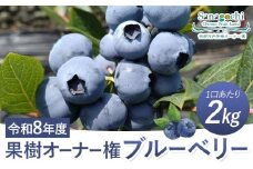 令和8年度果樹オーナー権（ブルーベリー）