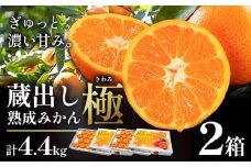 ＜先行予約＞ 蔵出し熟成みかん『極』 2箱 《2月中旬-2月末頃出荷予定》みかん ミカン 蜜柑 mikan 貯蔵 温州 うんしゅう 晩成 柑橘 佐那河内 さなごうち 徳島県 箱入り 化粧箱 S M L フルーツ 果物 くだもの 贈答 進物 一般財団法人さなごうち