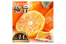 ＜先行予約＞ 熟成みかん『極旨』2箱【配送不可地域あり】※離島 《2月初旬-2月末頃出荷予定》みかん ミカン 蜜柑 mikan 柑橘 佐那河内 さなごうち 徳島県 箱入り 化粧箱 S M L フルーツ 果物 くだもの 贈答 進物