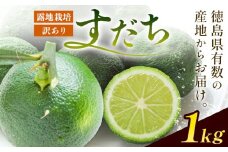 佐那河内名産 訳あり B級 露地栽培 すだち 1kg 露地すだち スダチ 一般財団法人さなごうち《9月中旬-11月上旬頃出荷》徳島県 佐那河内村 送料無料 スダチ 露地 魚 豆腐 冷奴 焼き魚 天ぷら 刺身 徳島県産