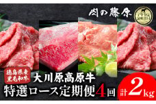 《定期便》全4回お届け！大川原高原牛 特選ロース(しゃぶしゃぶ・ステーキ・焼肉・スライス 各500gずつ) 株式会社肉の藤原 《お申込み月翌月から出荷開始》牛肉 定期便 月1回 徳島県 佐那河内村 st-p