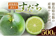 佐那河内名産 訳あり B級 露地栽培 すだち 500g 露地すだち スダチ 一般財団法人さなごうち《9月中旬-11月上旬頃出荷》徳島県 佐那河内村 送料無料 スダチ 露地 魚 豆腐 冷奴 焼き魚 天ぷら 刺身 徳島県産