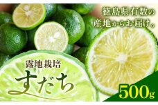 佐那河内名産 露地栽培 すだち 500g 露地すだち スダチ 《8月下旬-10月末頃出荷》徳島県 佐那河内村 送料無料 スダチ 露地 魚 豆腐 冷奴 焼き魚 天ぷら 刺身 上質 徳島県産
