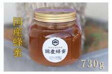 けんちゃんちのはちみつ（730g）大《30日以内に出荷予定（土日祝除く）》| ふるさと納税 はちみつ ハチミツ 蜂蜜 国産蜂蜜 天然蜜蜂 徳島県 佐那河内村 送料無料
