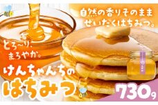 けんちゃんちのはちみつ 730g 《30日以内に出荷予定（土日祝除く）》ふるさと納税 はちみつ ハチミツ 蜂蜜 国産蜂蜜 天然蜜蜂 徳島県 佐那河内村 送料無料