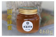 けんちゃんちのはちみつ（460g）中《30日以内に出荷予定（土日祝除く）》| ふるさと納税 はちみつ ハチミツ 蜂蜜 国産蜂蜜 天然蜜蜂 徳島県 佐那河内村 送料無料