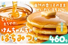けんちゃんちのはちみつ 460g 《30日以内に出荷予定（土日祝除く）》ふるさと納税 はちみつ ハチミツ 蜂蜜 国産蜂蜜 天然蜜蜂 徳島県 佐那河内村 送料無料