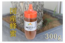 けんちゃんちのはちみつ（300g）ボトル《30日以内に出荷予定（土日祝除く）》| ふるさと納税 はちみつ ハチミツ 蜂蜜 国産蜂蜜 天然蜜蜂 徳島県 佐那河内村 送料無料