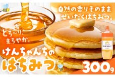 けんちゃんちのはちみつ 300g《30日以内に出荷予定（土日祝除く）》ふるさと納税 はちみつ ハチミツ 蜂蜜 国産蜂蜜 天然蜜蜂 徳島県 佐那河内村 送料無料
