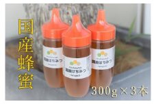 けんちゃんちのはちみつ 3本セット《30日以内に出荷予定（土日祝除く）》| ふるさと納税 はちみつ ハチミツ 蜂蜜 国産蜂蜜 天然蜜蜂 徳島県 佐那河内村 送料無料