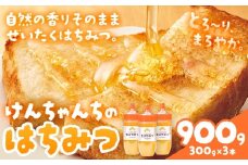 けんちゃんちのはちみつ 300g 3本セット《30日以内に出荷予定（土日祝除く）》ふるさと納税 はちみつ ハチミツ 蜂蜜 国産蜂蜜 天然蜜蜂 徳島県 佐那河内村 送料無料