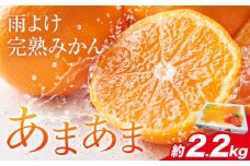 雨よけ完熟みかん「あまあま」選べる内容量 約2.2kg 正木久之《12月下旬-1月上旬》徳島県 佐那河内村 みかん ミカン 蜜柑 柑橘 箱入り 化粧箱 フルーツ 果物 くだもの 贈答【配送不可地域あり】※離島不可