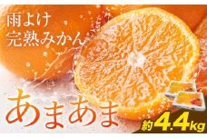 雨よけ完熟みかん「あまあま」選べる内容量 約4.4kg 正木久之《12月下旬-1月中旬》徳島県 佐那河内村 みかん ミカン 蜜柑 柑橘 箱入り 化粧箱 フルーツ 果物 くだもの 贈答【配送不可地域あり】※離島不可