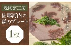 佐那河内の森のプレート 1枚 皿 食器 プレート 手作り 暁陶芸工房《30日以内に出荷予定(土日祝除く)》 自然 キッチン用品 日用品 オリジナル 雑貨 徳島県 佐那河内村
